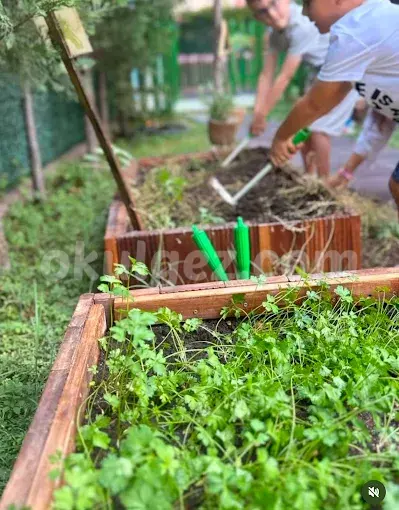 Özel Maltepe Anka Anaokulu