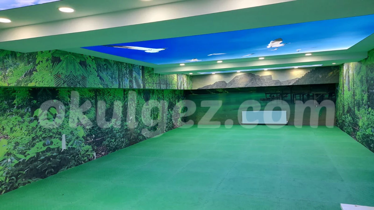 Özel Maltepe Artı Sonsuz Koleji Anaokulu