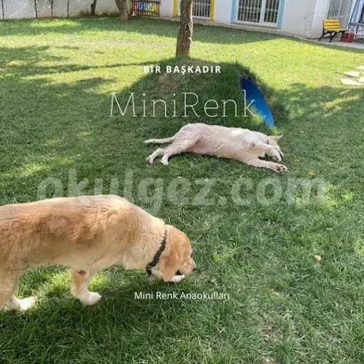 Özel Maltepe Minirenk Anaokulu