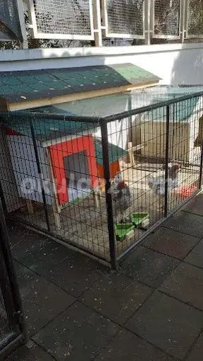 Özel Maltepe Minirenk Anaokulu