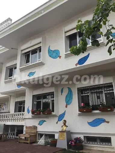 Özel Mavi Tüy Anaokulu