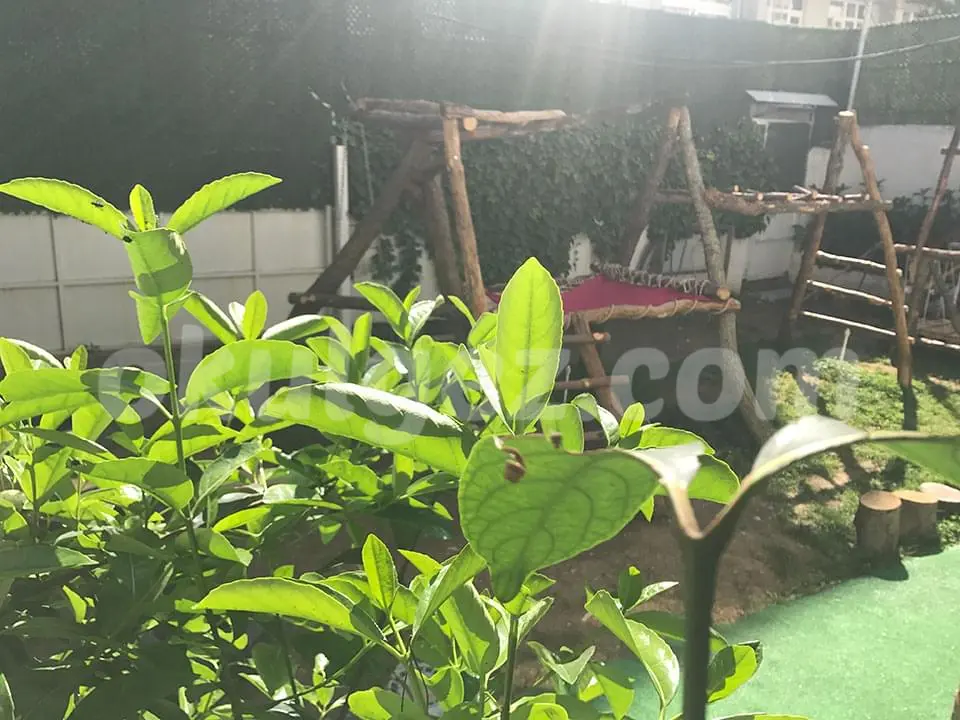 Özel Medea Anaokulu