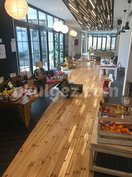 Özel Medea Anaokulu