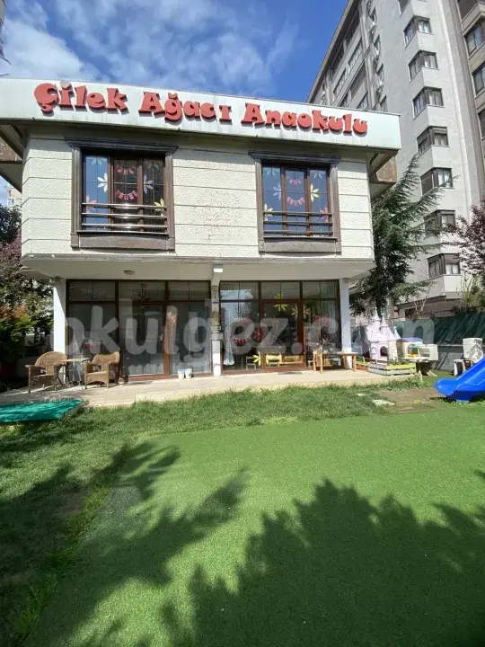 Özel Merdivenköy Çilek Ağacı Anaokulu