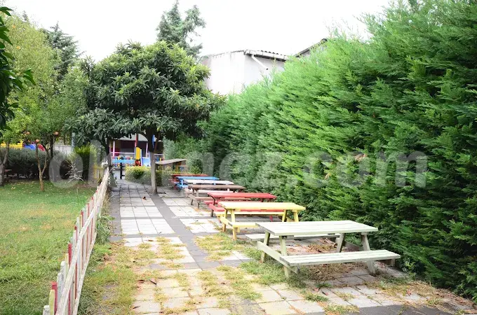 Özel Merkez Gülleri Anaokulu