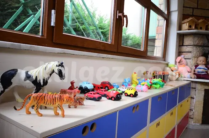 Özel Merkez Gülleri Anaokulu