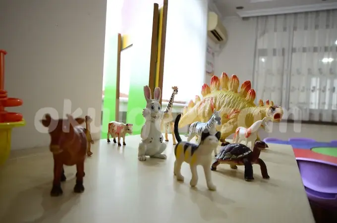 Özel Merkez Gülleri Anaokulu