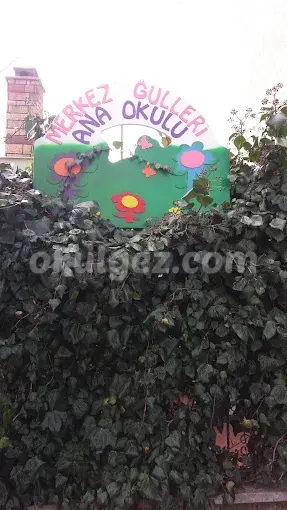 Özel Merkez Gülleri Anaokulu