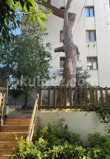 Özel Meşe Palamudu Çocuk Evi