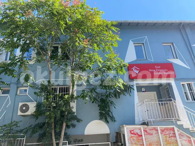 Özel Meşe Palamudu Çocuk Evi