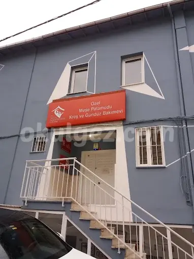 Özel Meşe Palamudu Çocuk Evi