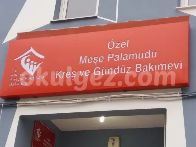 Özel Meşe Palamudu Çocuk Evi