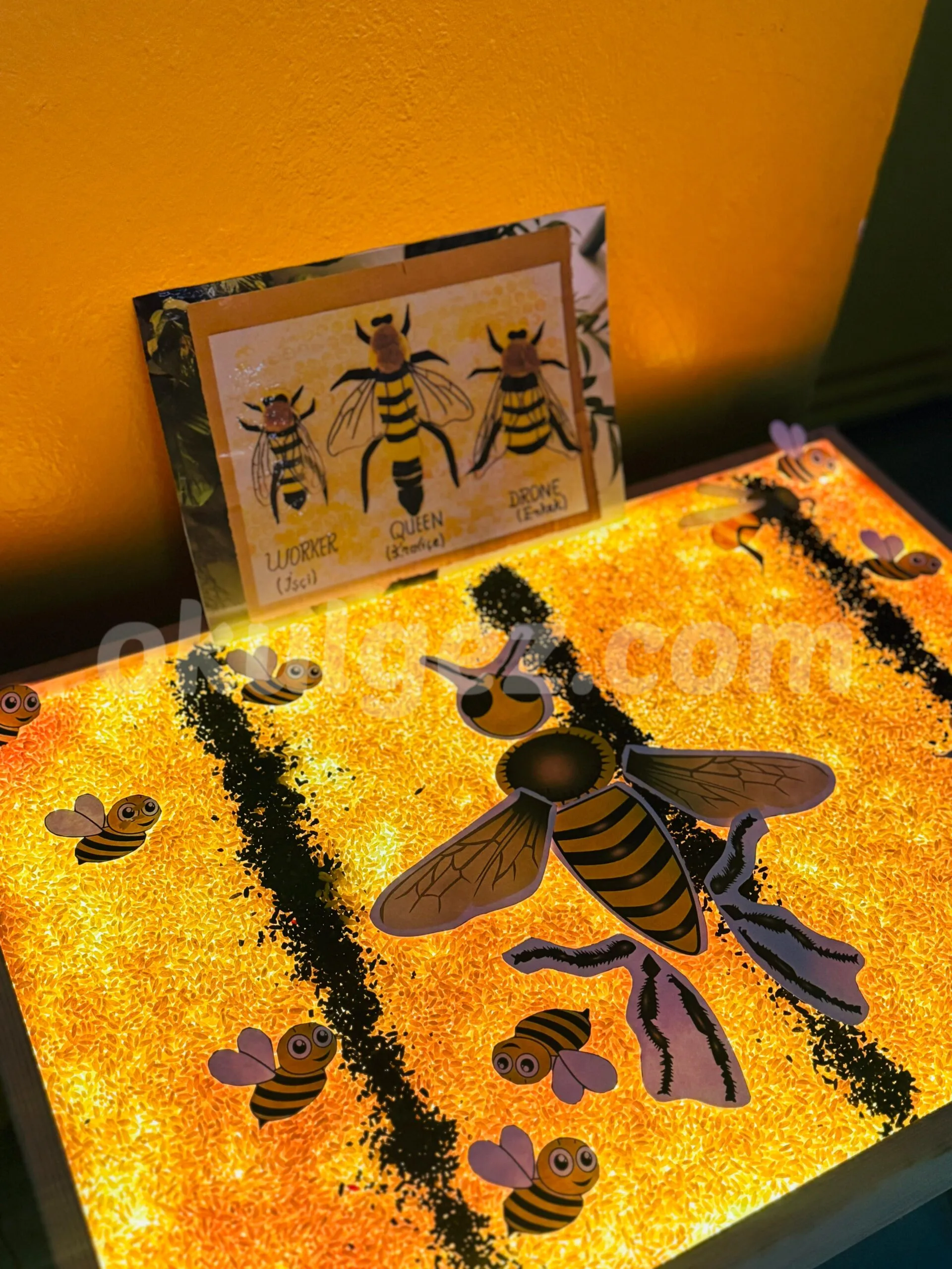 Özel Mia Akademi Anaokulu