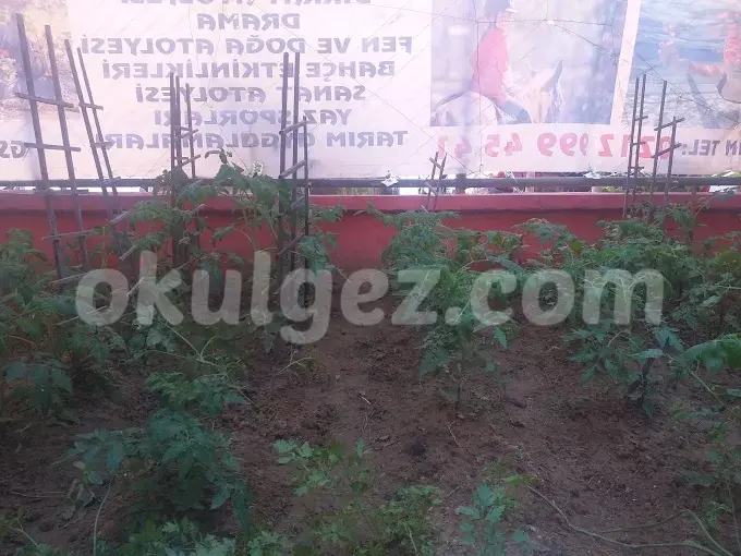 Özel Mimaroba Ayyıldız Anaokulu