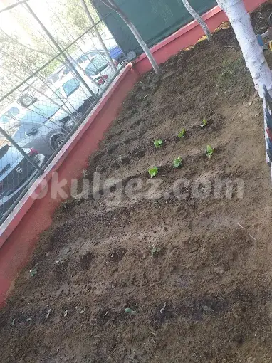 Özel Mimaroba Ayyıldız Anaokulu