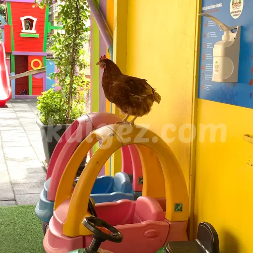 Özel Minik Kaşifler Anaokulu