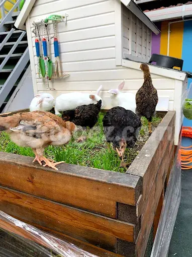 Özel Minik Kaşifler Anaokulu