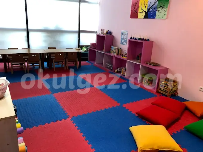 Özel Minik Tohum Anaokulu