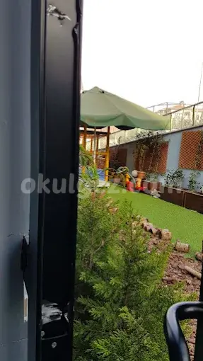 Özel Minik Tohum Anaokulu