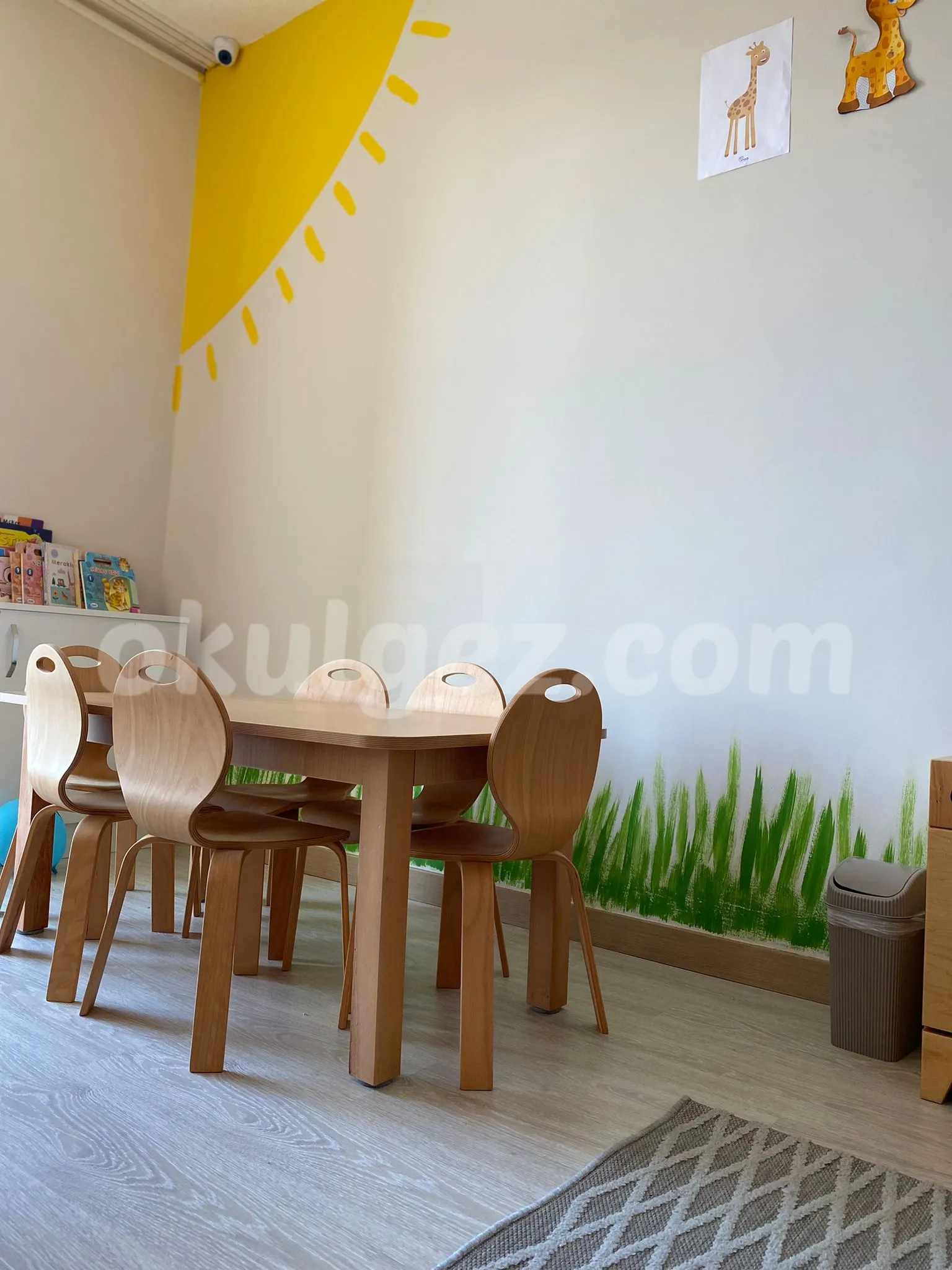 Özel Mor Koza Anaokulu