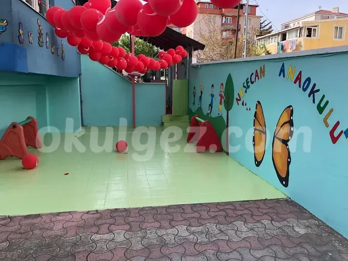 Özel Neşecan Anaokulu