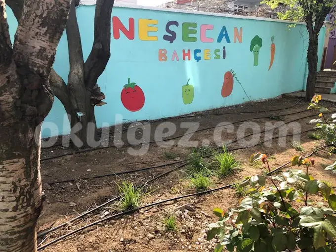 Özel Neşecan Anaokulu