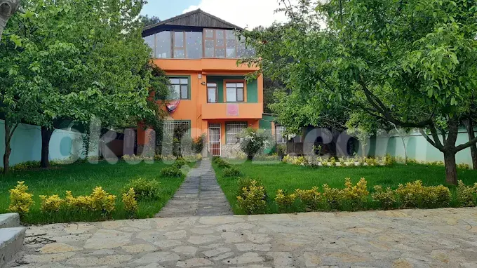 Özel NLP Kids Anaokulu