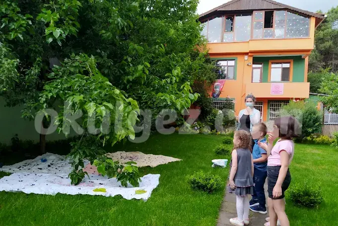 Özel NLP Kids Anaokulu