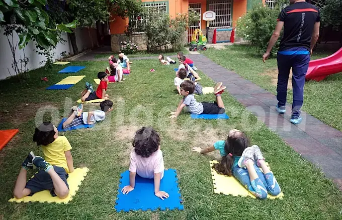 Özel NLP Kids Anaokulu