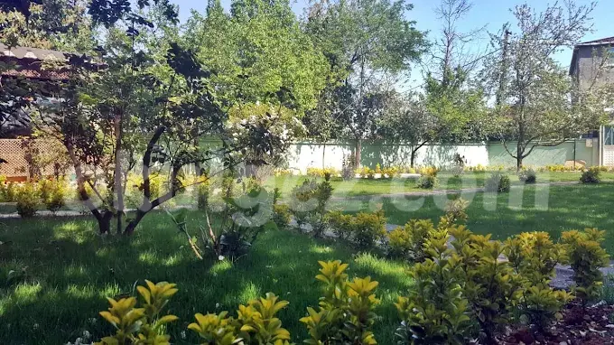 Özel NLP Kids Anaokulu