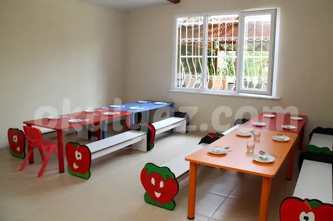 Özel NLP Kids Anaokulu