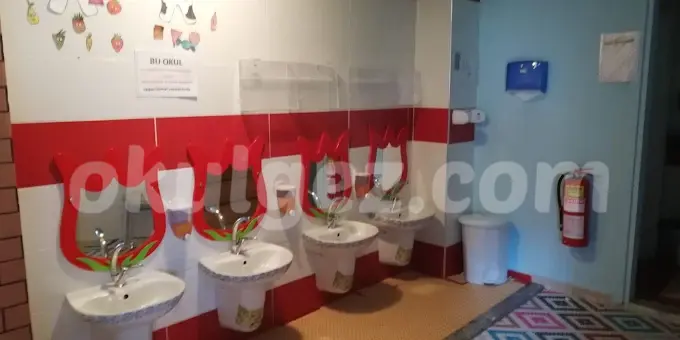 Özel Ortadağ Lale Bahçesi Anaokulu
