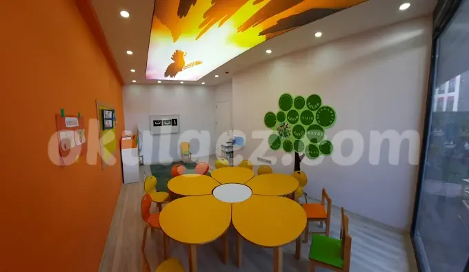 Özel Özgün Yetenekler Anaokulu