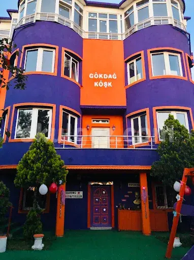 Özel Parlayan Yıldızlar Anaokulu Büyükçekmece Şubesi