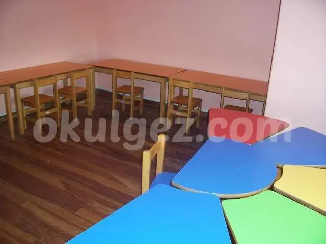 Özel Parlayan Yıldızlar Anaokulu Büyükçekmece Şubesi