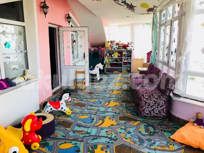 Özel Parlayan Yıldızlar Anaokulu Büyükçekmece Şubesi