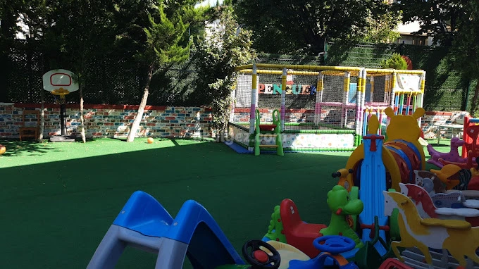 Özel Penguen Anaokulu