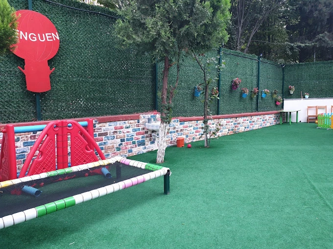 Özel Penguen Anaokulu