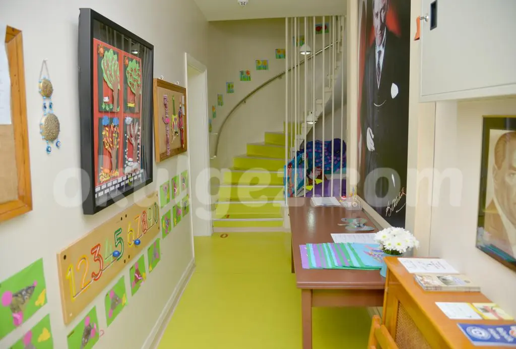 Özel Ponpon Anaokulu