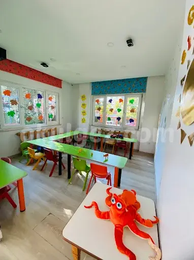 Özel Renkli Köşk Anaokulu