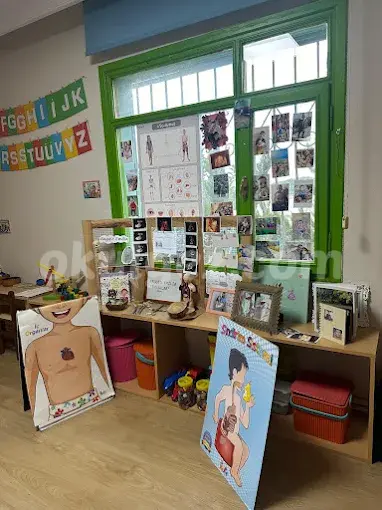 Özel Renkli Kuşaklar Anaokulu