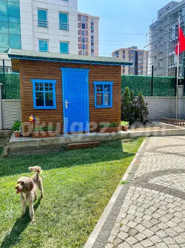 Özel Safari Çocuk Anaokulu