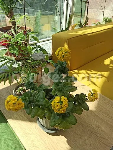 Özel Sancaktepe Era Koleji Anaokulu