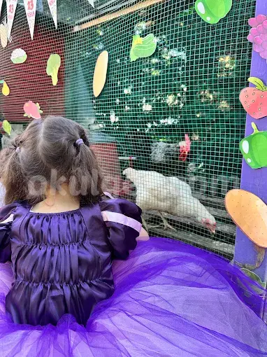 Özel Sancaktepe İnci Taneleri Anaokulu