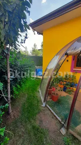 Özel Sancaktepe Şeker Ağacı Anaokulu