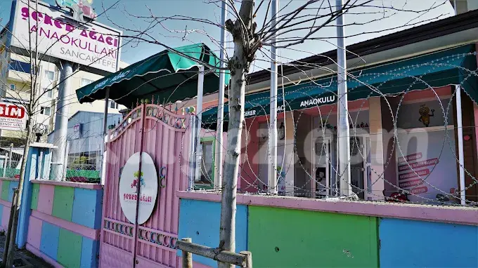 Özel Sancaktepe Şeker Ağacı Anaokulu