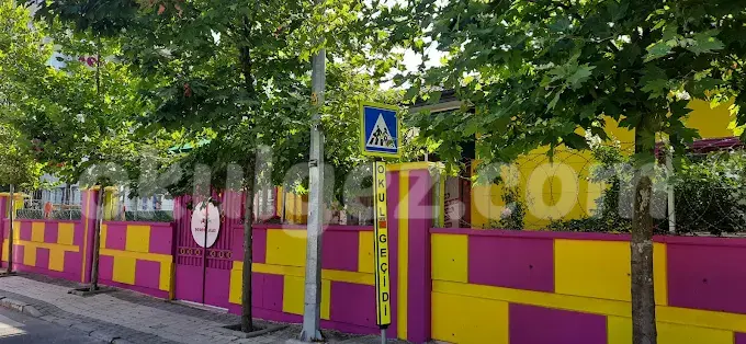 Özel Sancaktepe Şeker Ağacı Anaokulu
