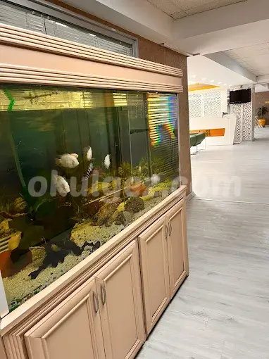 Özel Sancaktepe Tercih Koleji Anaokulu