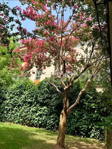 Özel Sarıyer Mini Mini Anaokulu