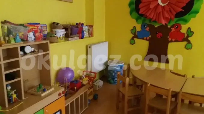 Özel Sarıyer Mini Mini Anaokulu